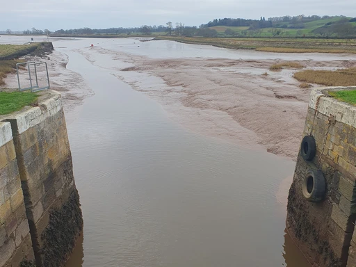 Exe Estuary from Turf Lock.